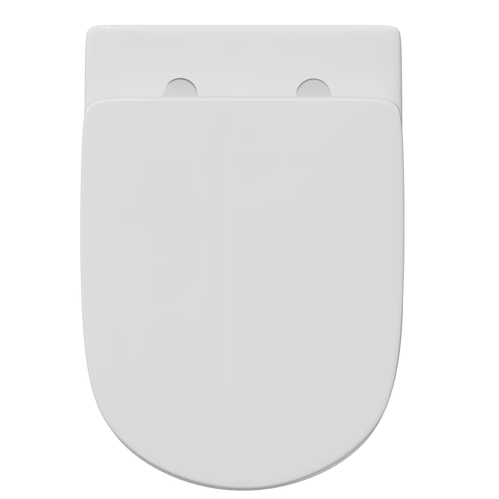 Anderson Rimless Back to Wall Toilet & Soft Close Seat