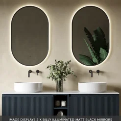 Billy LED Illuminated Oval Framed Mirror with Demister Pad & Colour Change Lights - 500 x 800mm