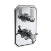 Butler & Rose Victoria 1 Outlet Concealed Thermostatic Shower Valve
