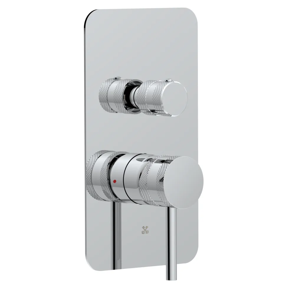 Core Shower Package with 2 Outlet Manual Valve, Fixed Wall Mounted Shower Head & Microphone Handset Slide Rail Kit