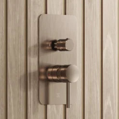 Core Shower Package with 2 Outlet Manual Valve, Fixed Wall Mounted Shower Head & Microphone Handset Slide Rail Kit