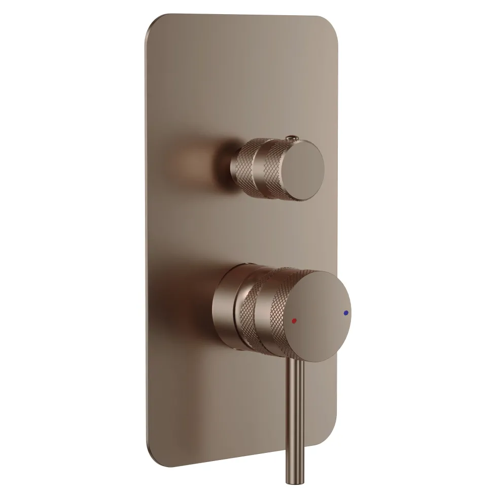 Core Shower Package with 2 Outlet Manual Valve, Fixed Wall Mounted Shower Head & Microphone Handset Slide Rail Kit