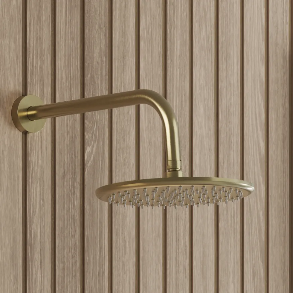Core Shower Package with 2 Outlet Manual Valve, Fixed Wall Mounted Shower Head & Microphone Handset Slide Rail Kit