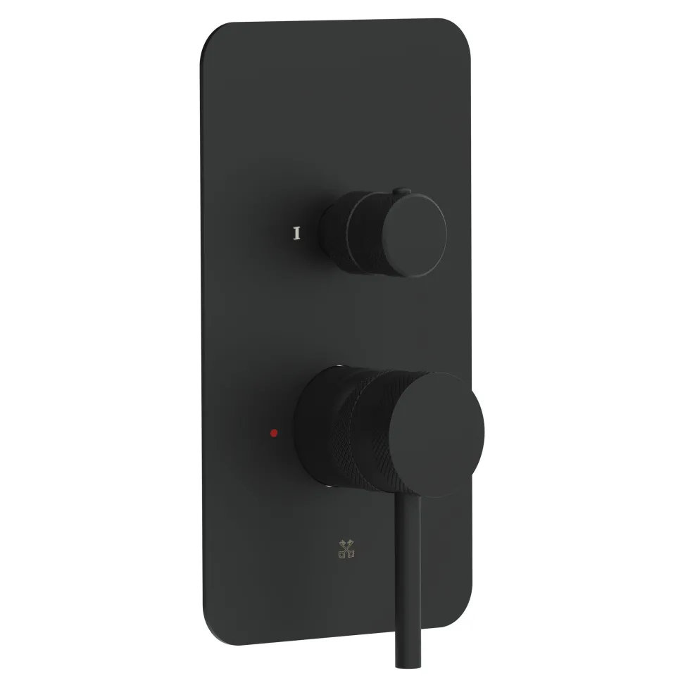 Core Shower Package with 2 Outlet Manual Valve, Fixed Wall Mounted Shower Head & Microphone Handset Slide Rail Kit
