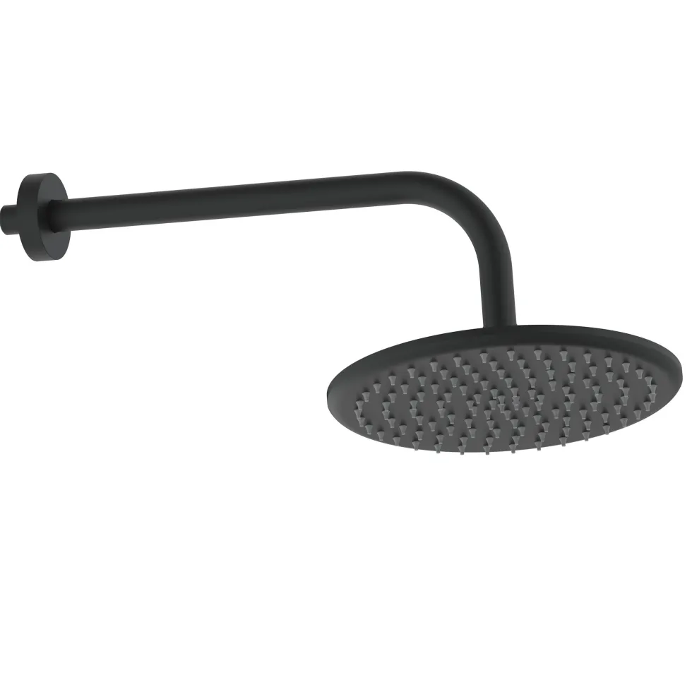 Core Shower Package with 2 Outlet Manual Valve, Fixed Wall Mounted Shower Head & Microphone Handset Slide Rail Kit