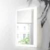 Crosswater Dune Steam Free LED Illuminated Mirror - 500 x 800mm