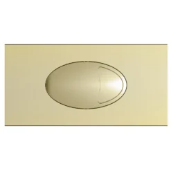 Drench Dual Flush Plate