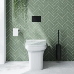 Emily Rimless Back To Wall Toilet & Soft Close Seat