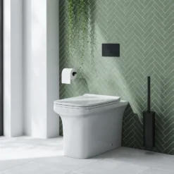 Emily Rimless Back To Wall Toilet & Soft Close Seat