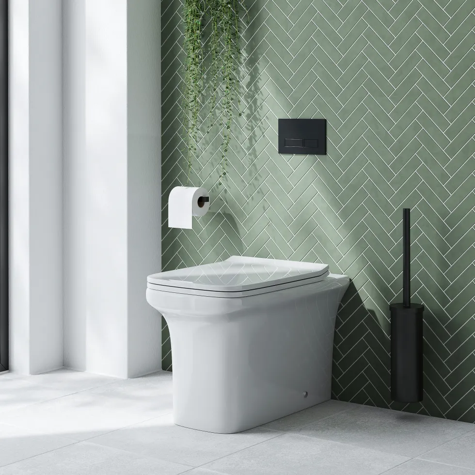 Emily Rimless Back To Wall Toilet & Soft Close Seat