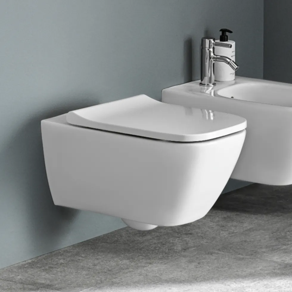 Geberit Smyle Rimless Wall Hung Pan & Soft Close Seat