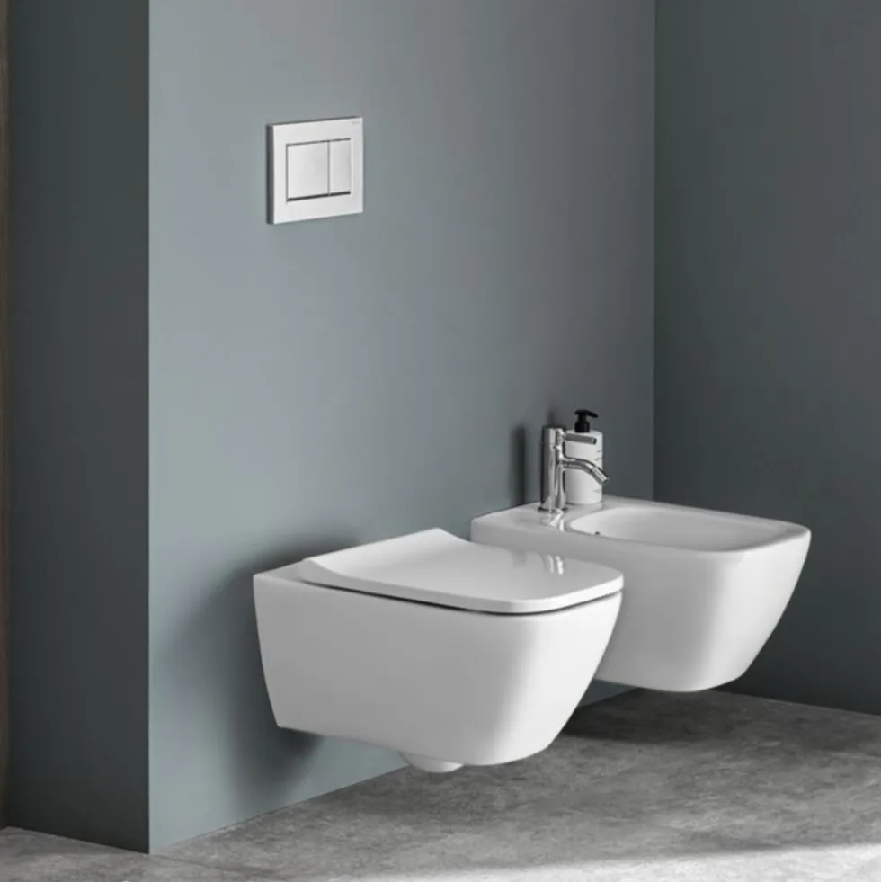 Geberit Smyle Rimless Wall Hung Pan & Soft Close Seat