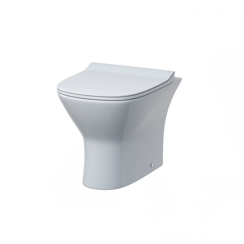 Harbour Acclaim Rimless Back To Wall Toilet & Soft Close Seat