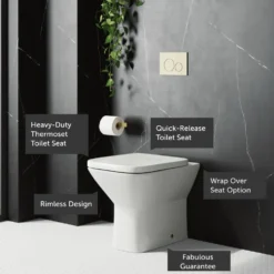 Harbour Alchemy Rimless Back to Wall Toilet & Soft Close Seat