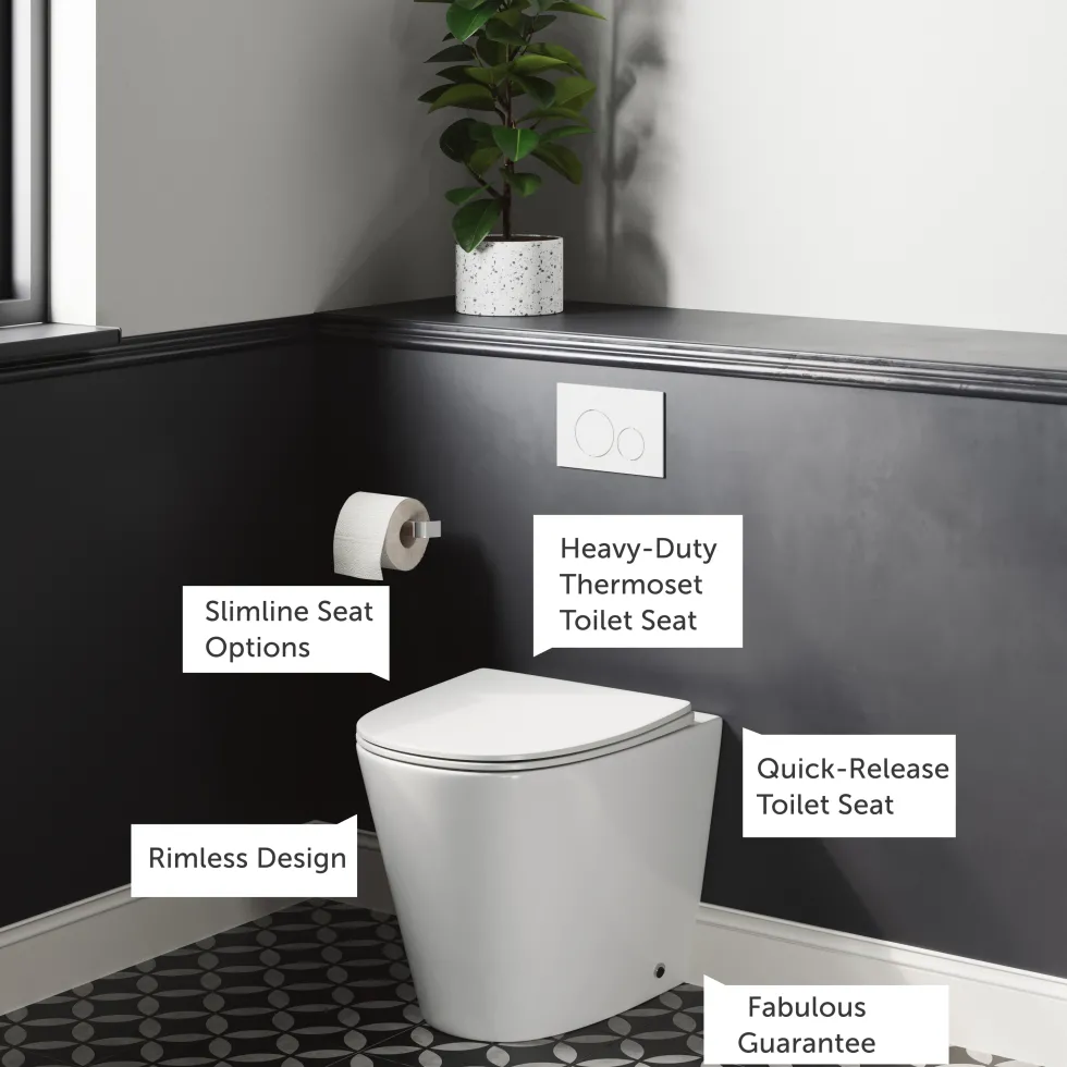 Harbour Clarity Back to Wall Rimless Toilet & Soft Close Seat