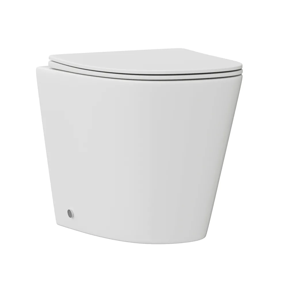 Harbour Clarity Back to Wall Rimless Toilet & Soft Close Seat