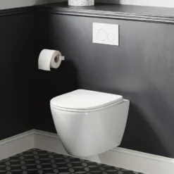 Harbour Clarity Rimless Wall Hung Toilet & Soft Close Seat