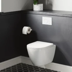 Harbour Clarity Rimless Wall Hung Toilet & Soft Close Seat