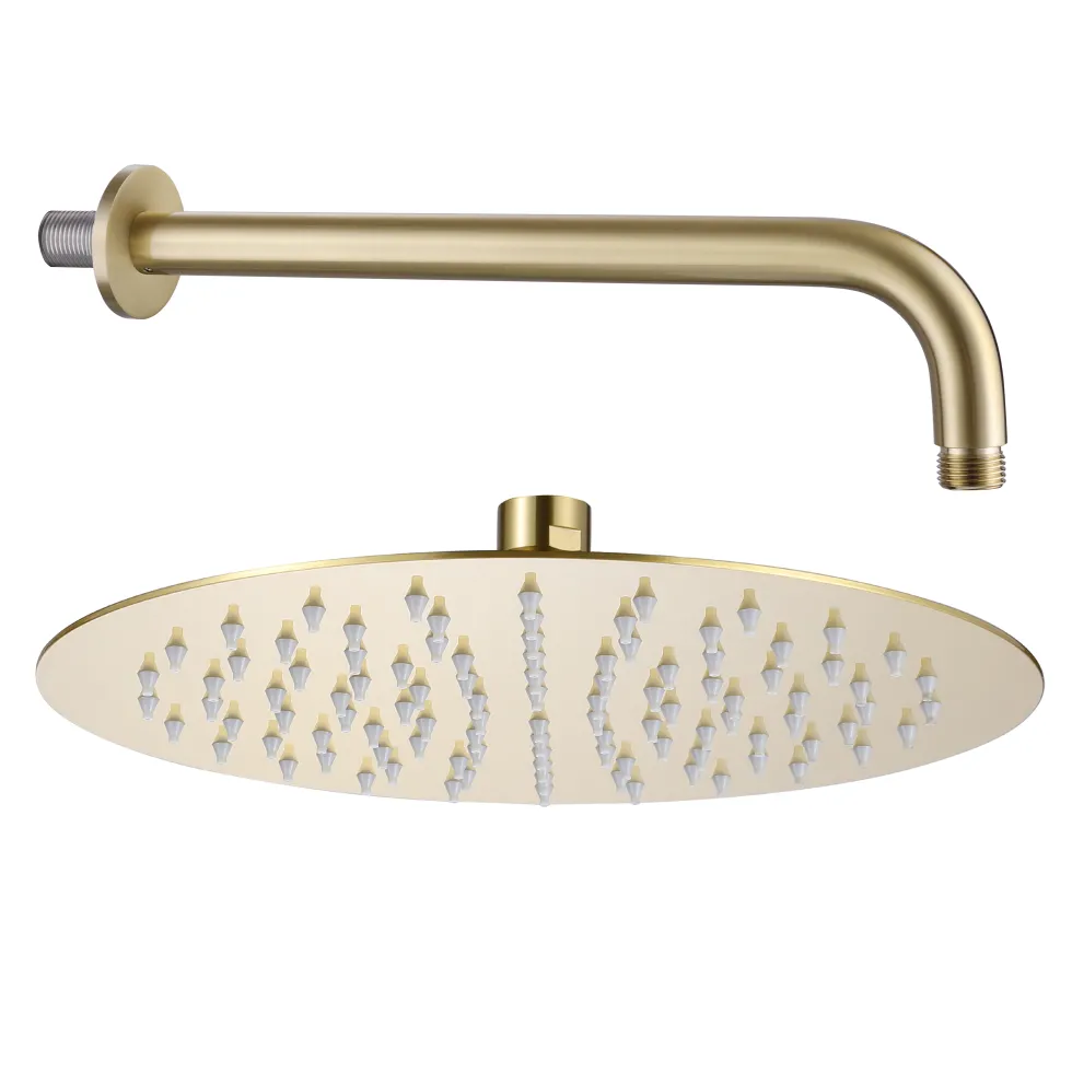 Harbour Clarity Round Shower Head with Shower Arm - Brushed Brass