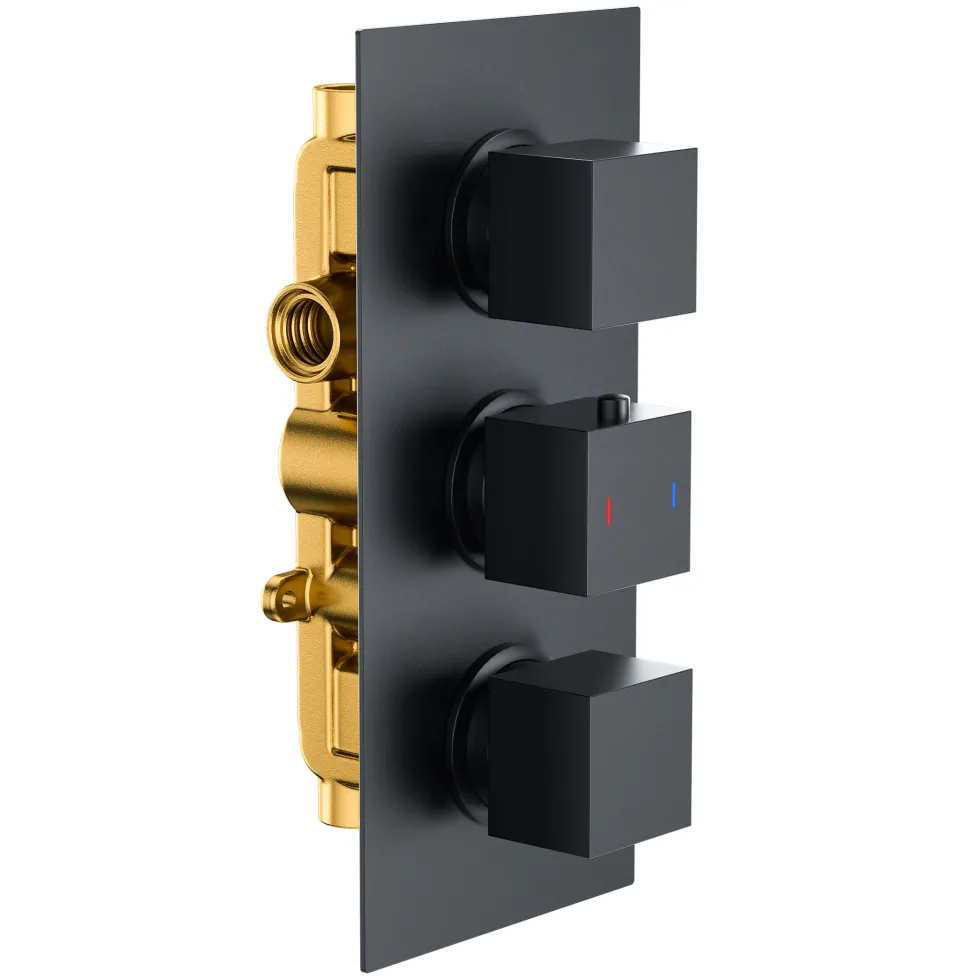 Harbour Status Matt Black 2 Outlet Concealed Thermostatic Shower Valve