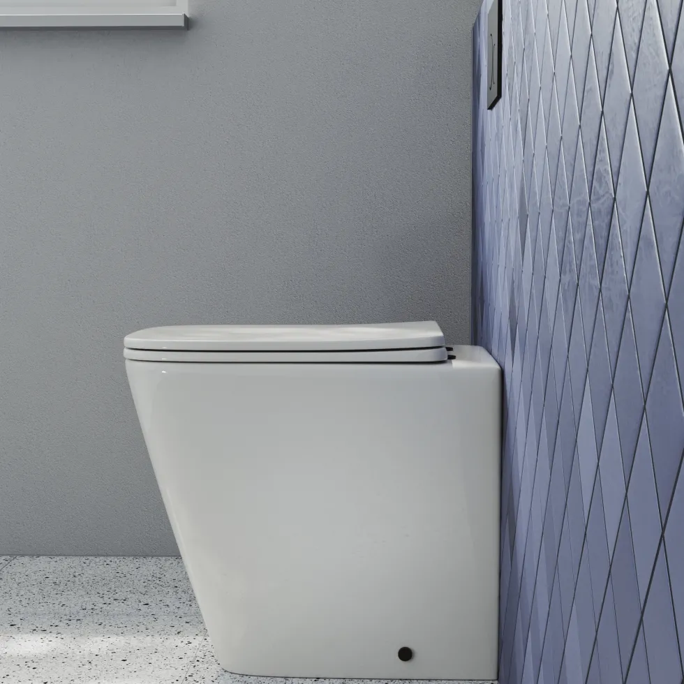 Harbour Unity Rimless Back to Wall Toilet & Soft Close Seat