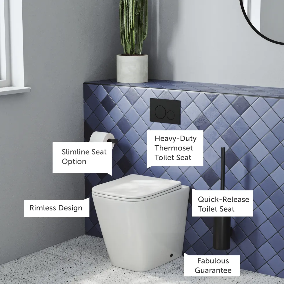 Harbour Unity Rimless Back to Wall Toilet & Soft Close Seat