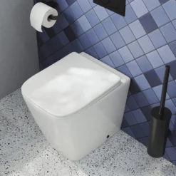 Harbour Unity Rimless Back to Wall Toilet & Soft Close Seat