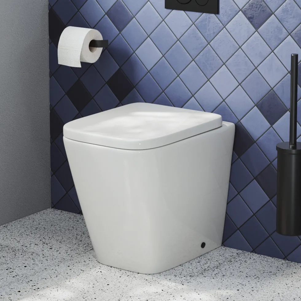 Harbour Unity Rimless Back to Wall Toilet & Soft Close Seat