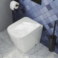 Harbour Unity Rimless Back to Wall Toilet & Soft Close Seat