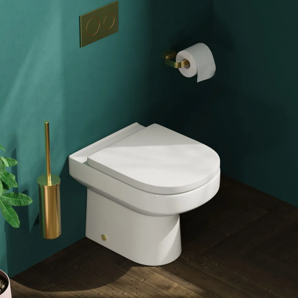 Lorraine Rimless Back To Wall Toilet & Soft Close Seat