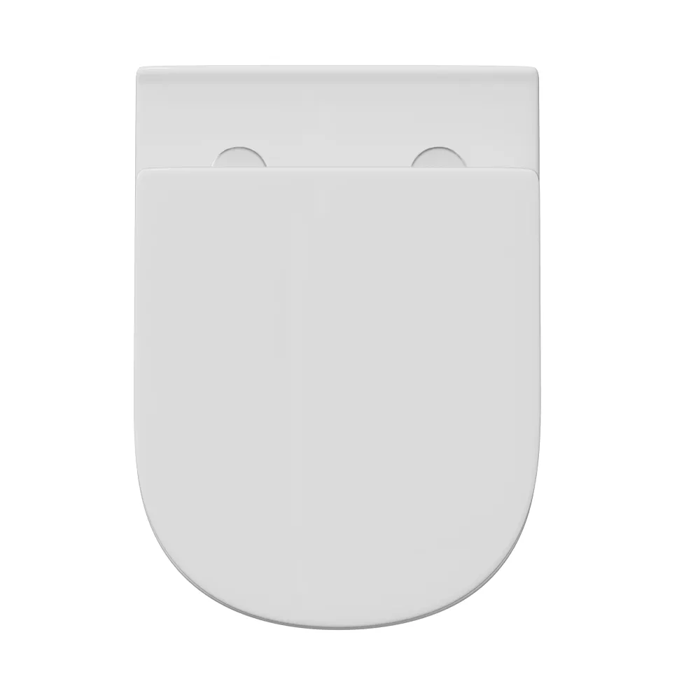 Lorraine Rimless Back To Wall Toilet & Soft Close Seat