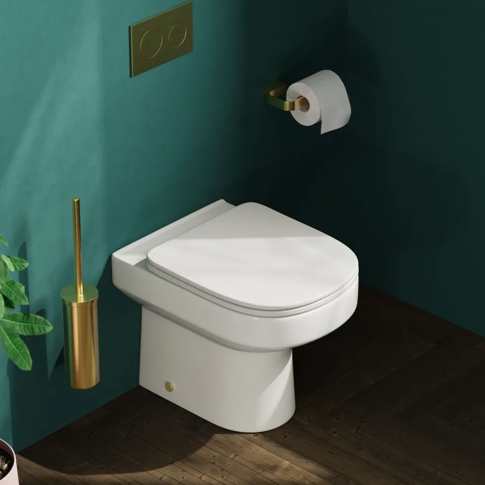 Lorraine Rimless Back To Wall Toilet & Soft Close Seat