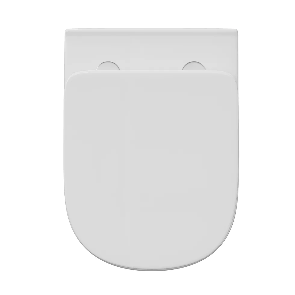 Lorraine Rimless Back To Wall Toilet & Soft Close Seat
