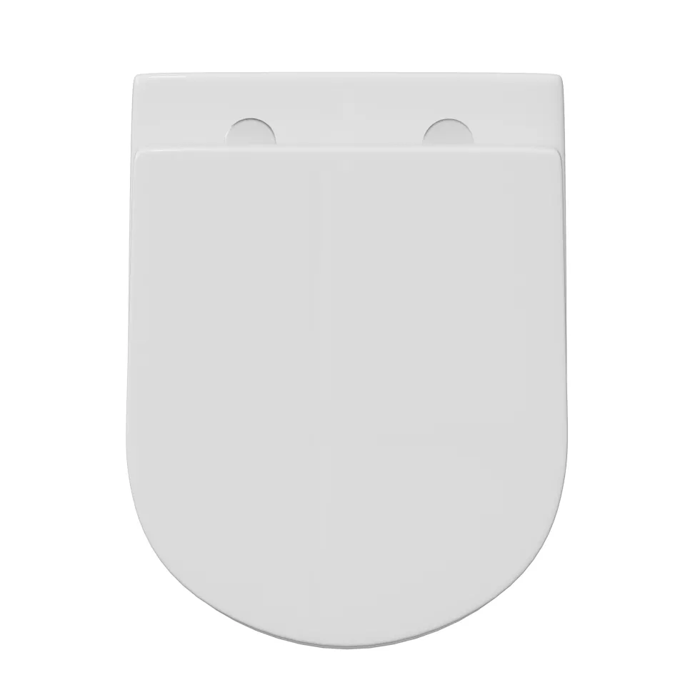 Lydia Rimless Back to Wall Toilet & Soft Close Seat