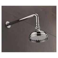 Sagittarius Chelsea 130mm Shower Head & Arm