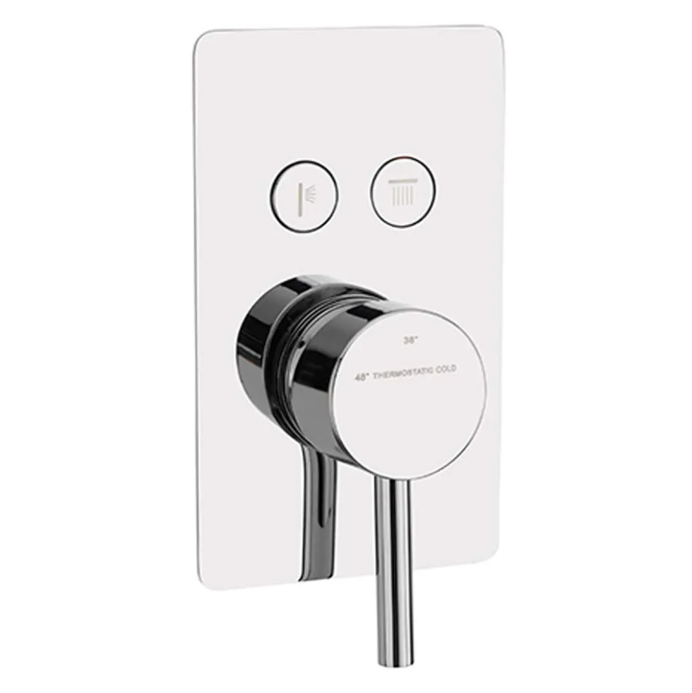 Sagittarius Ergo Lever 2 Outlet Concealed Thermostatic Push Button Shower Valve