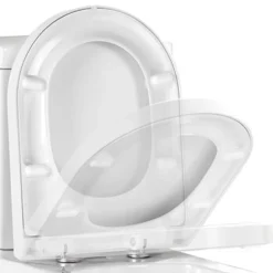 Vellamo Modern D-Shaped Comfort Height Back to Wall Toilet with Soft Close Seat
